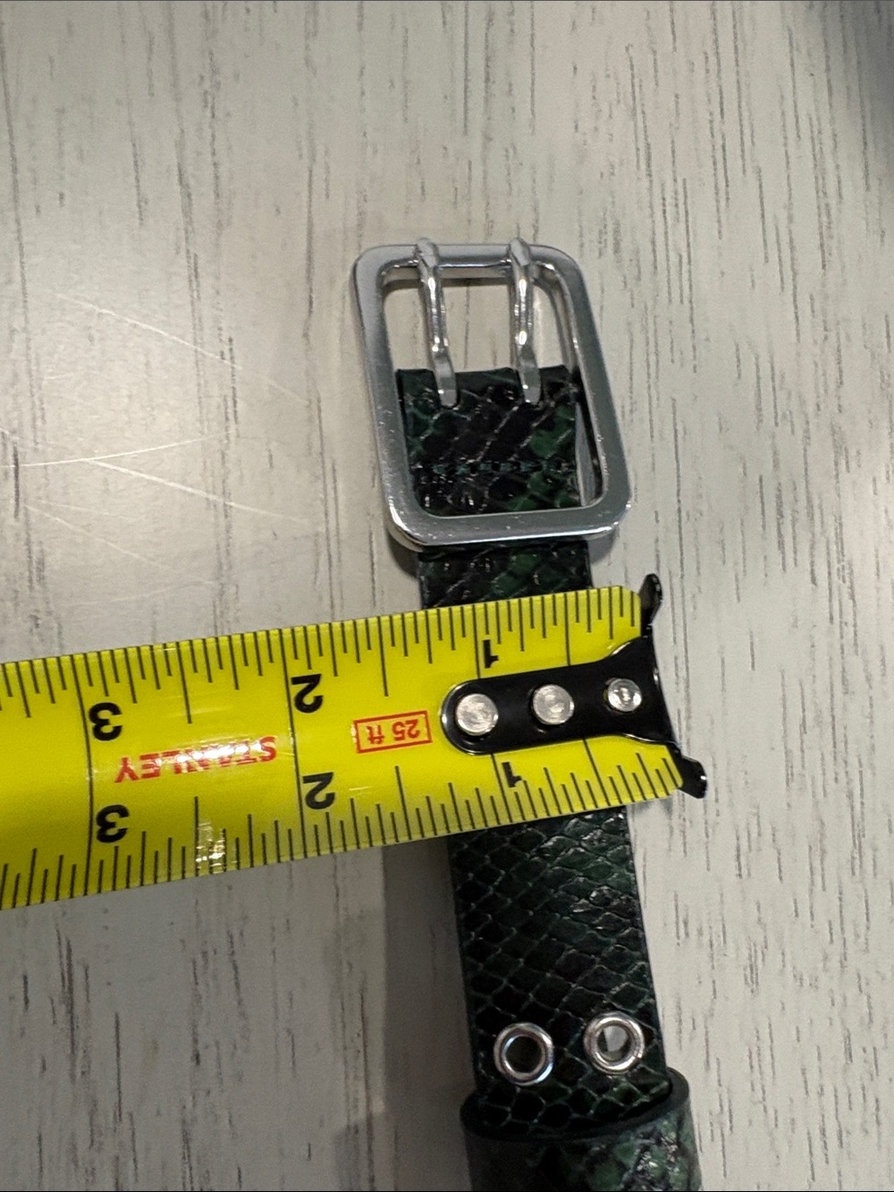 J. Crew Green Reptile Textured Accessory - Picture 12 of 12